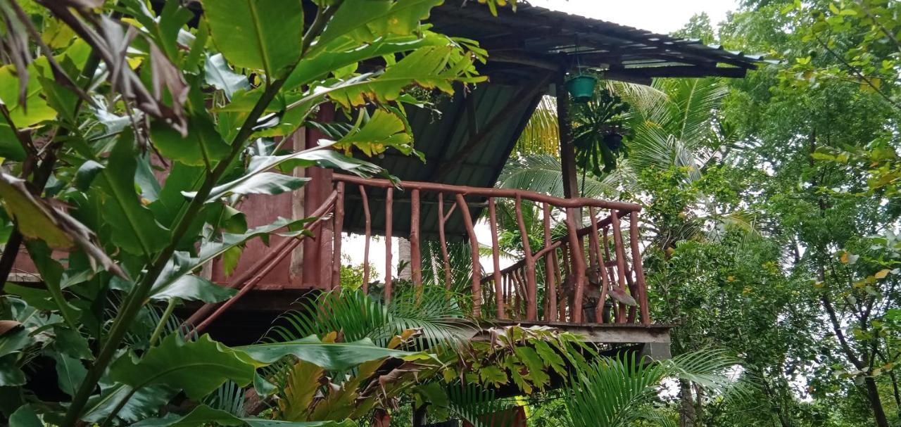 시기리야 Sigiri Panaromic Tree House 빌라 외부 사진